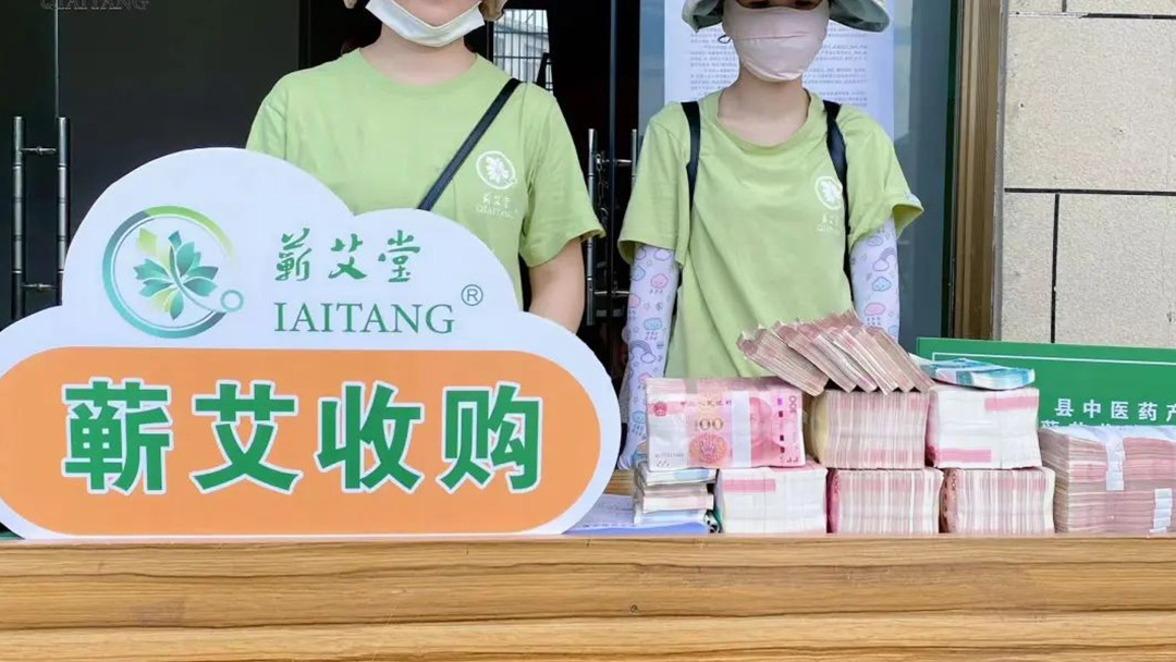 2023蘄艾收購丨蘄艾堂上門進村 ?應收盡收·片片歸倉 2023蘄艾收購丨蘄艾堂上門進村 ?應收盡收·片片歸倉