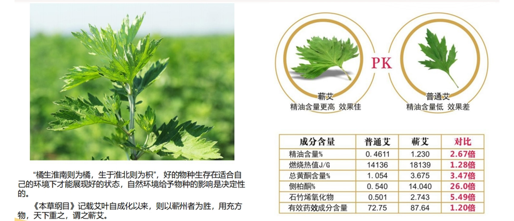 全產(chǎn)業(yè)鏈 全產(chǎn)業(yè)鏈