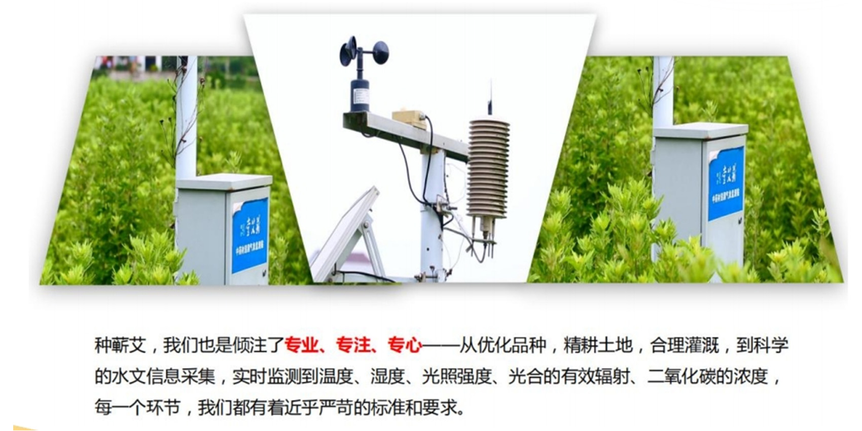 全產(chǎn)業(yè)鏈 全產(chǎn)業(yè)鏈