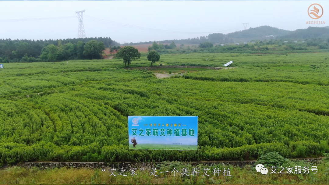 官宣丨艾之家企業(yè)簡介