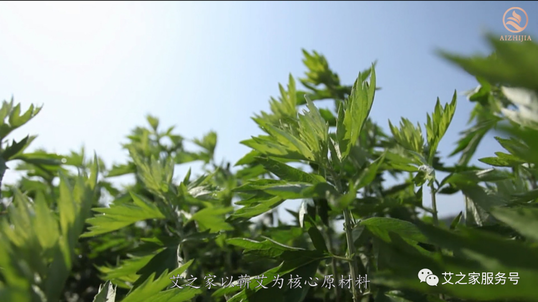 官宣丨艾之家企業(yè)簡介